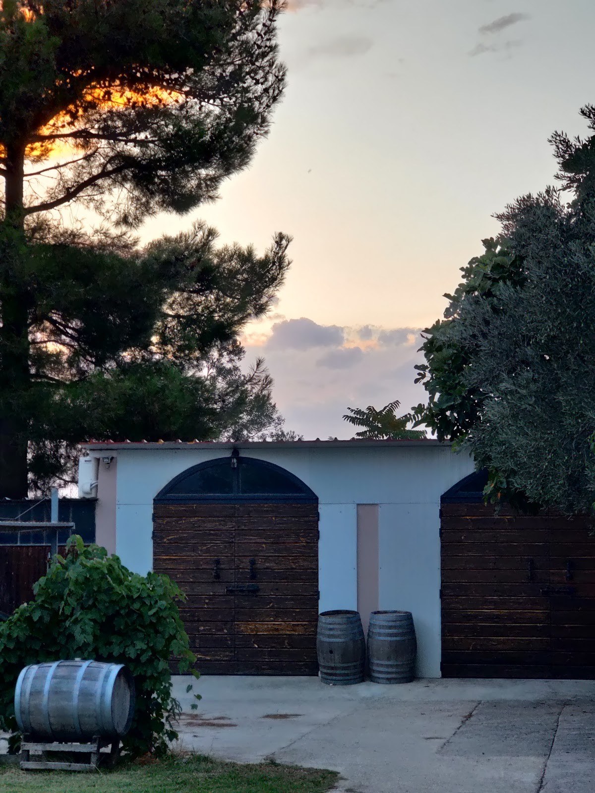 80 Winery