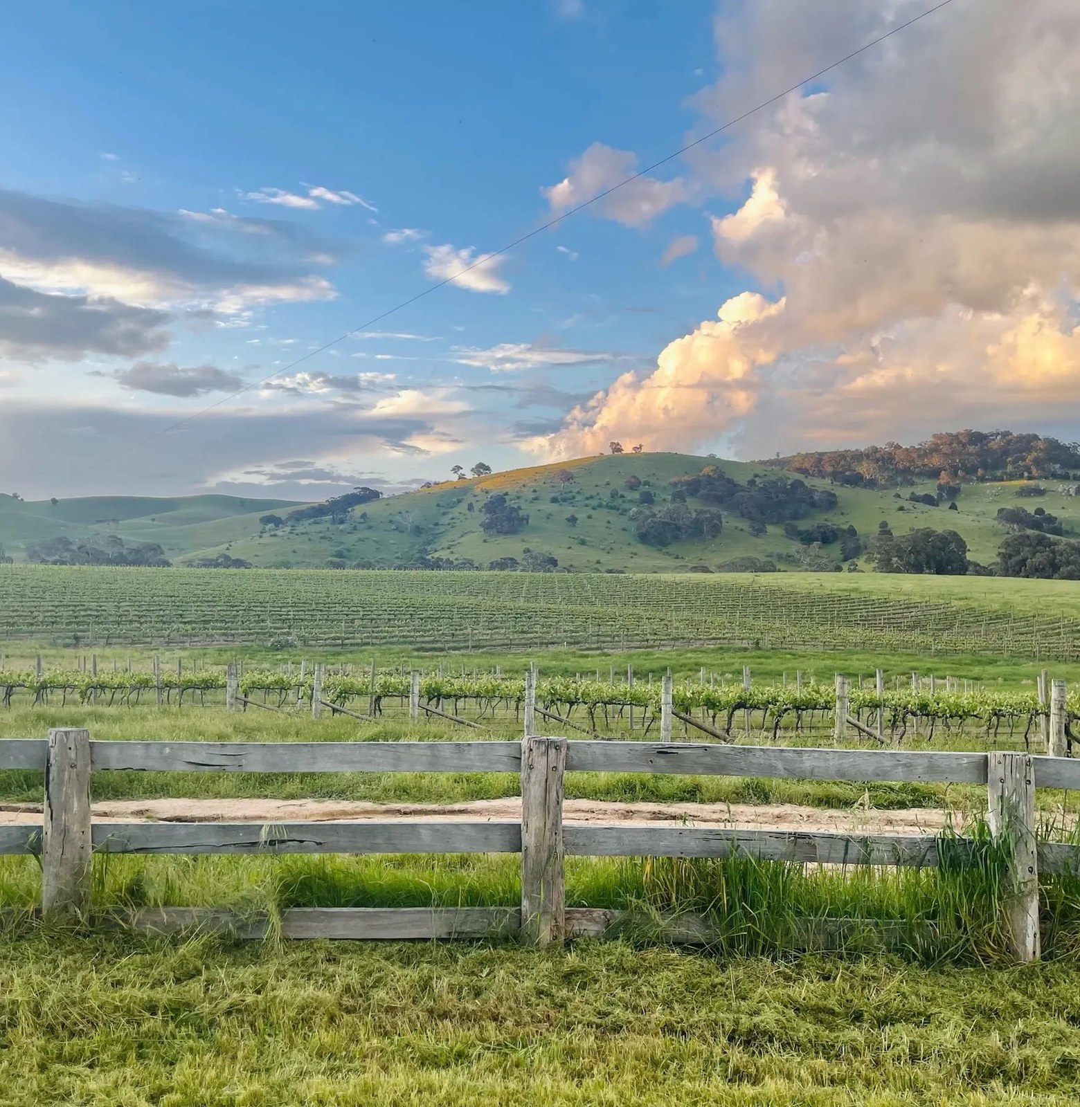 McIvor Estate