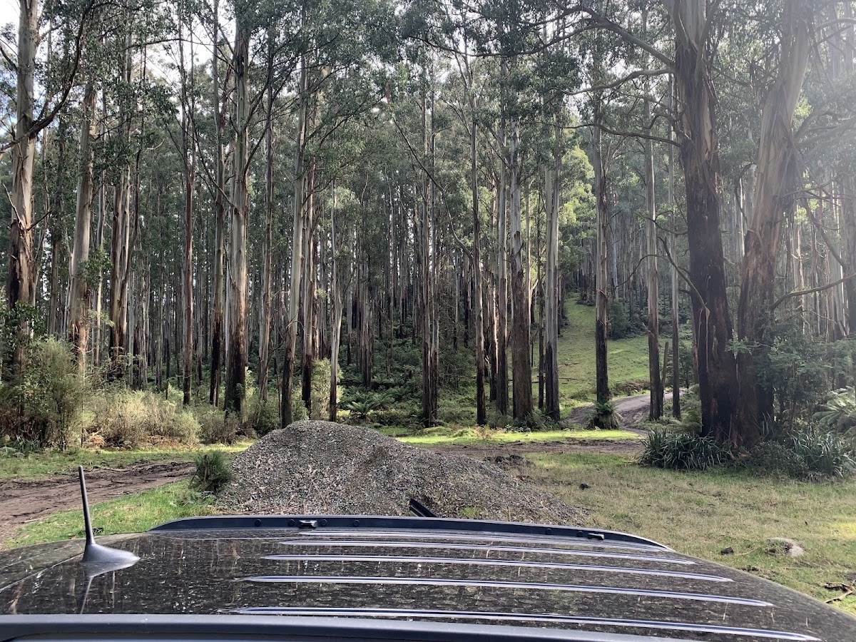 Murrindindi