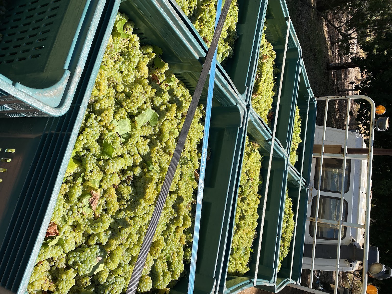 Crooked Brook Wines