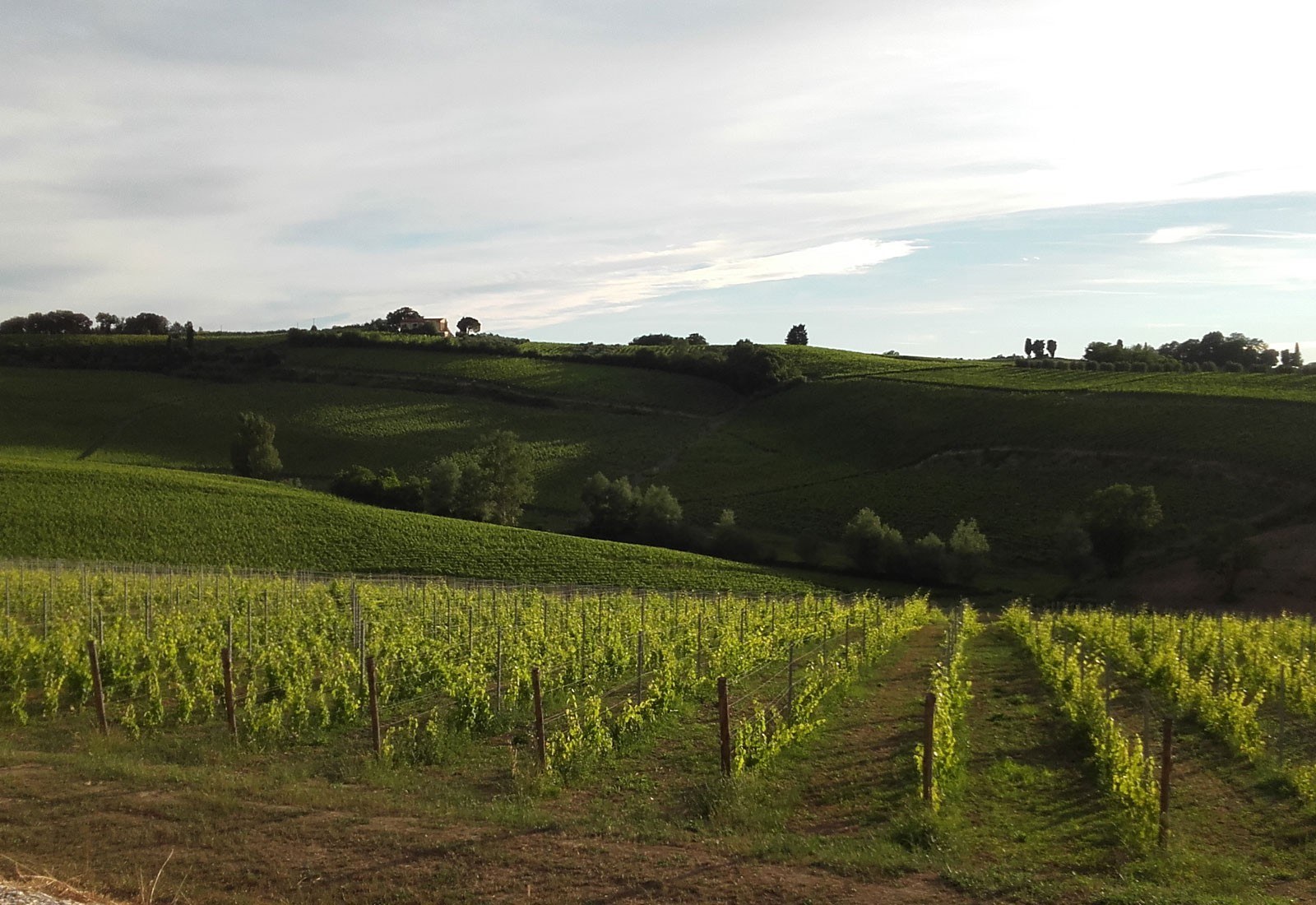 Podere La Chiesa