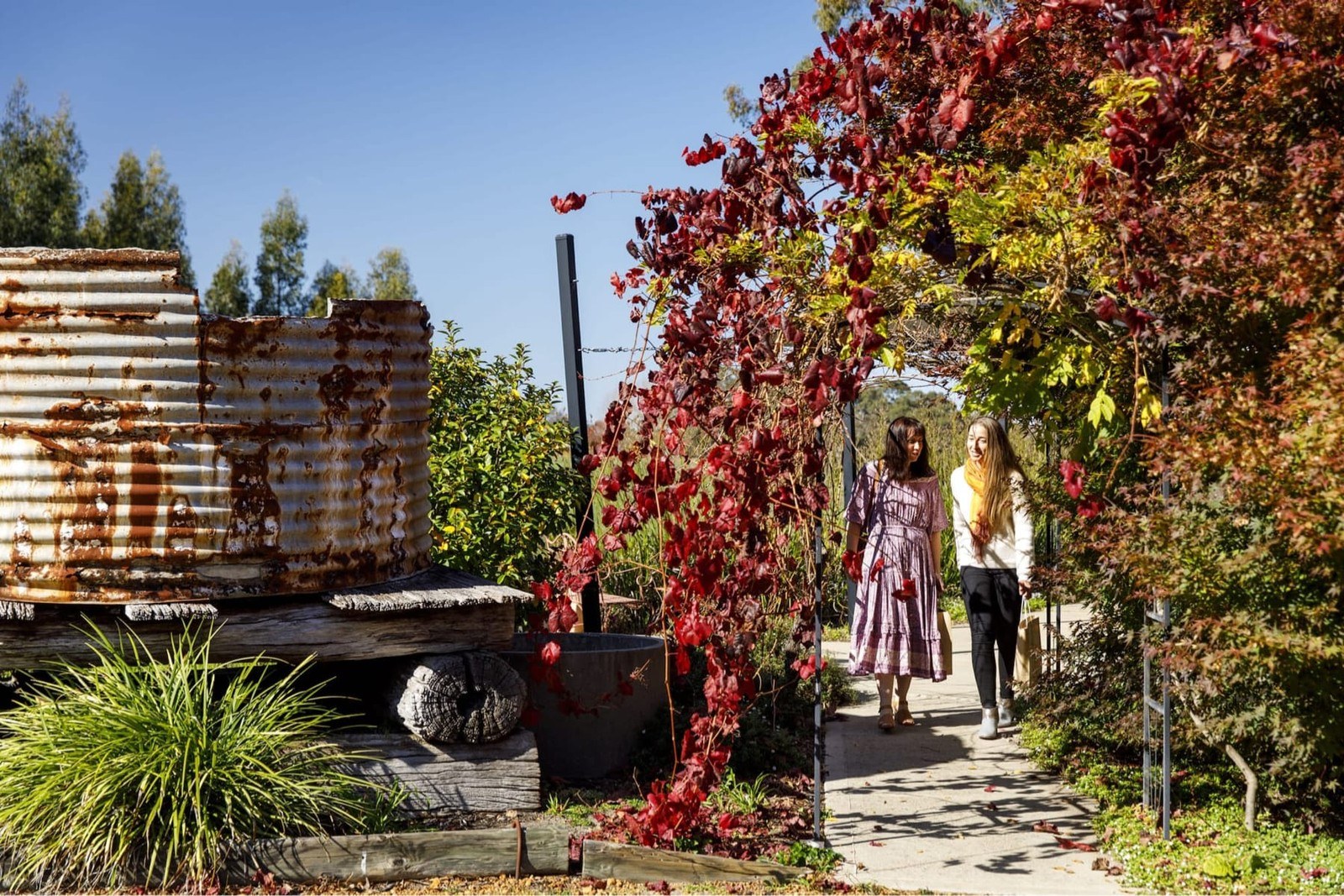 Oakway Estate Wines