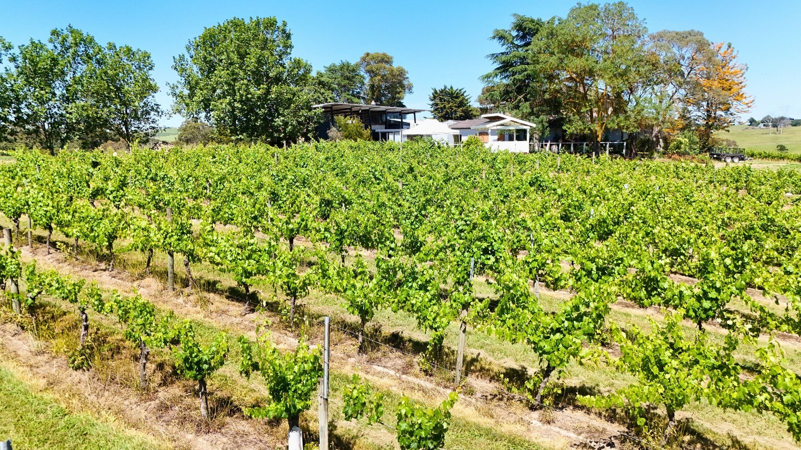 Bianchet Winery