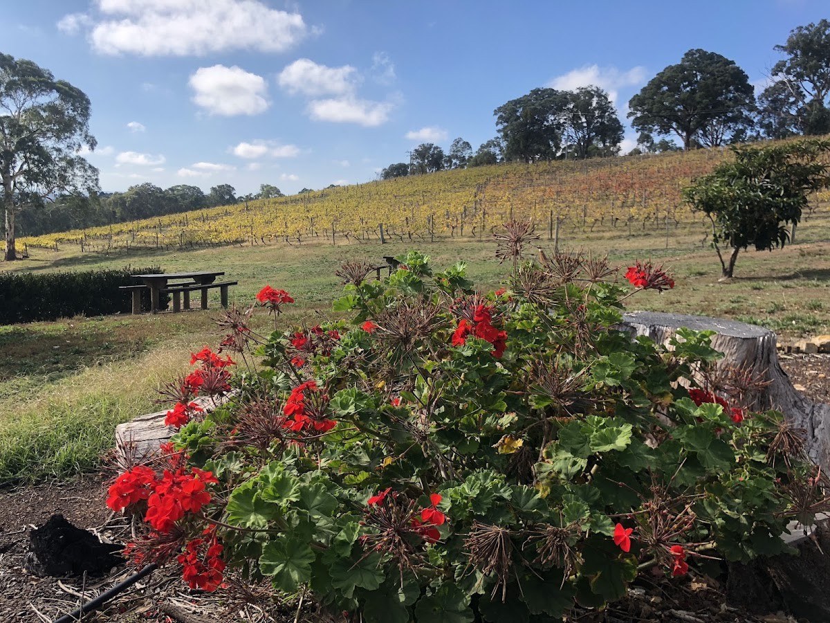 Lovegrove Vineyard