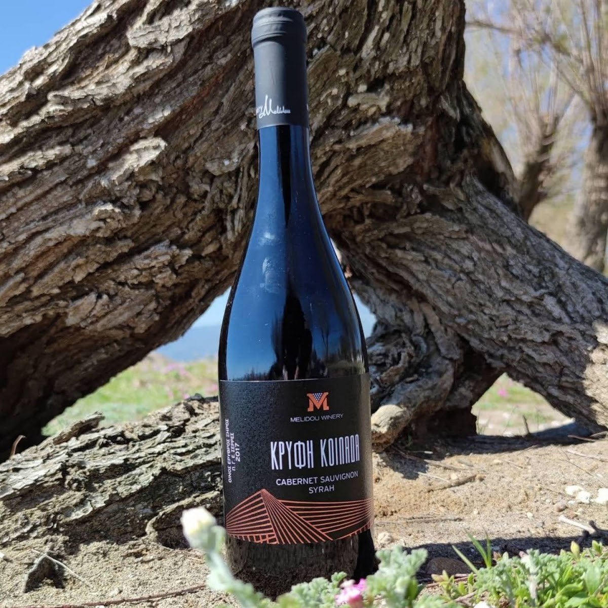 Κτήμα Μελίδου - Melidou Estate Winery