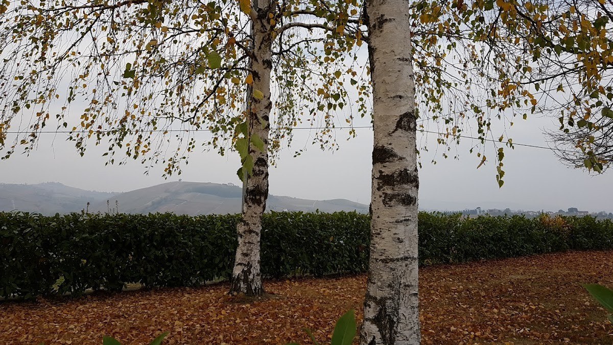 l'Azienda Agricola F.lli Cigliuti