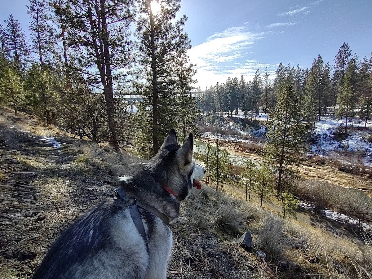 Latah Creek