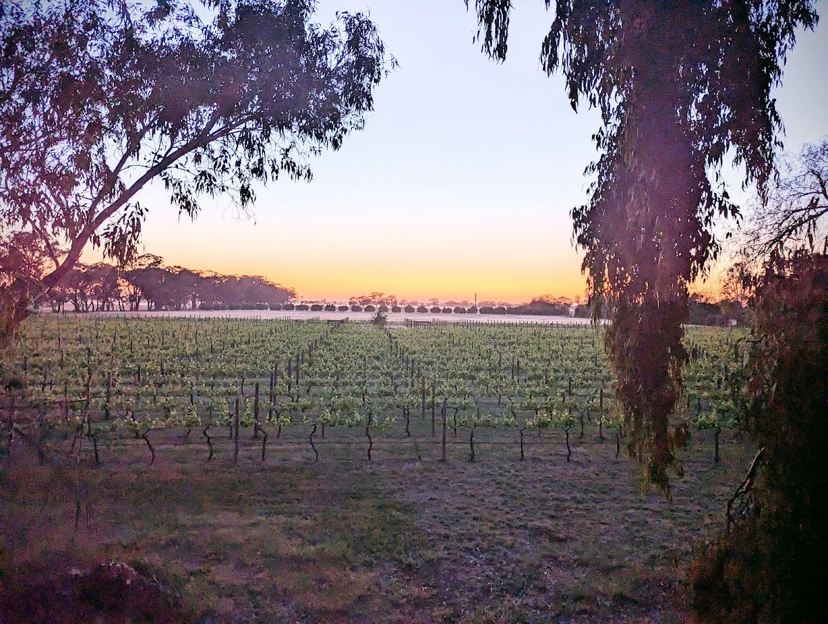 Newbridge Wines