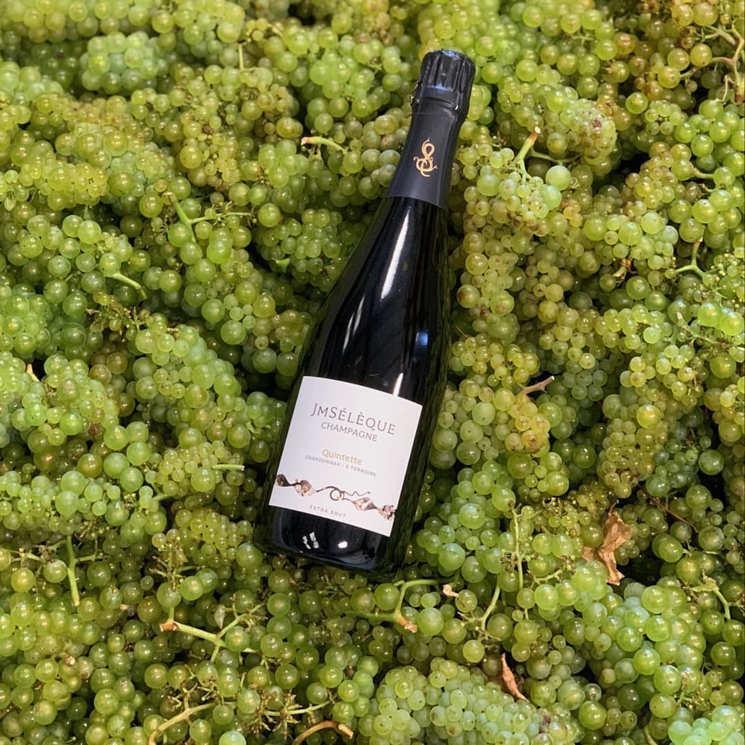 Deovlet Wines