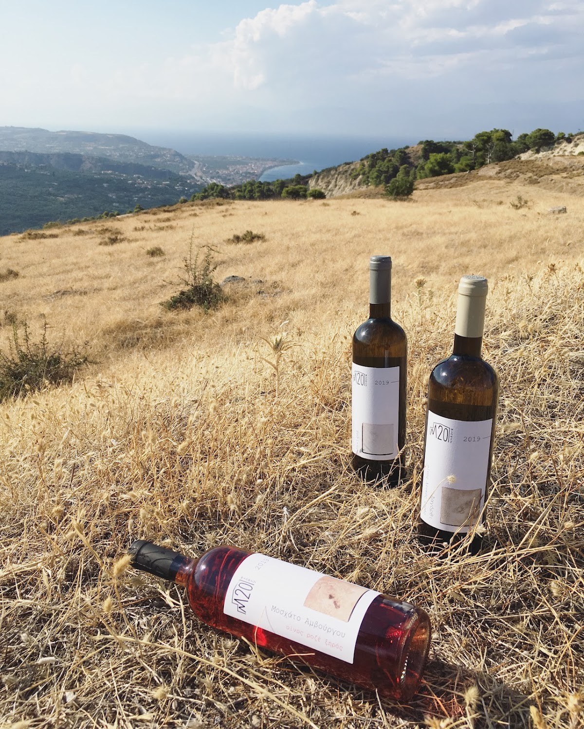 M20 Winery