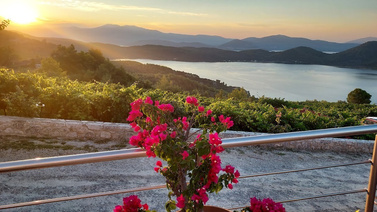 Vriniotis Winery