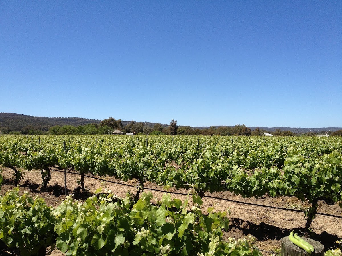 Valley Wines