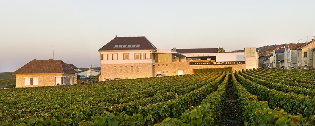 Mailly Grand Cru