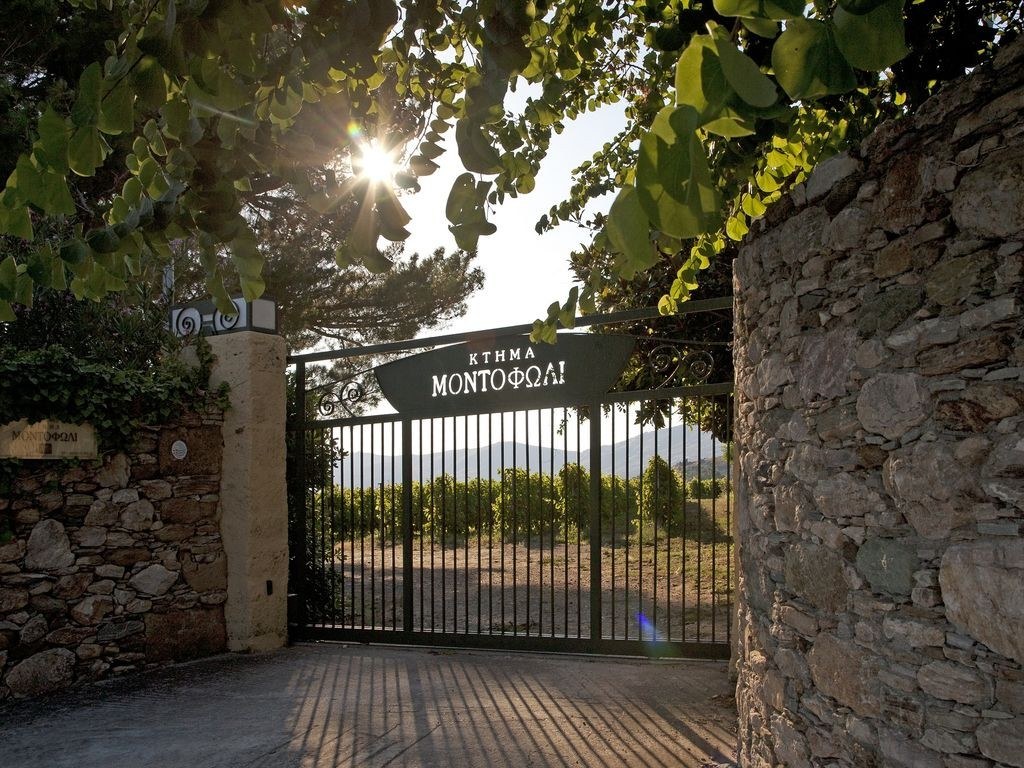 Montofoli Wine Estate