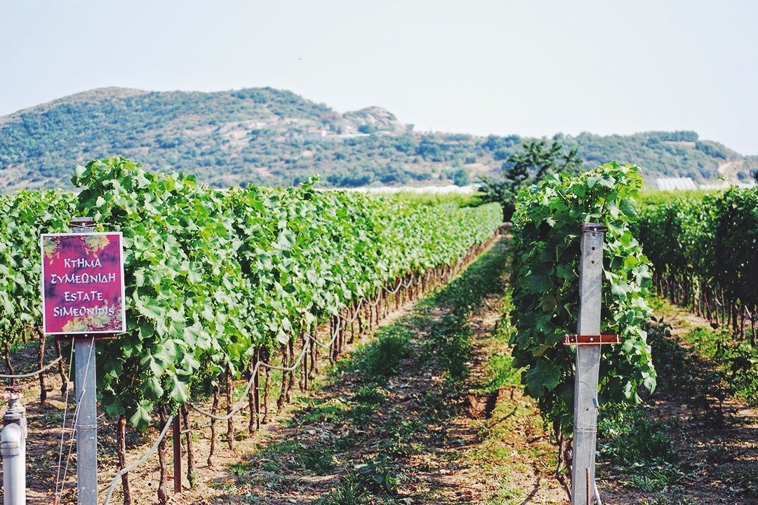 Simeonidis Estate
