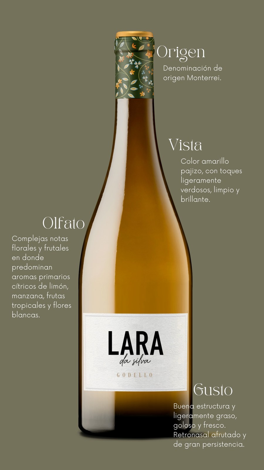 Vinos Lara