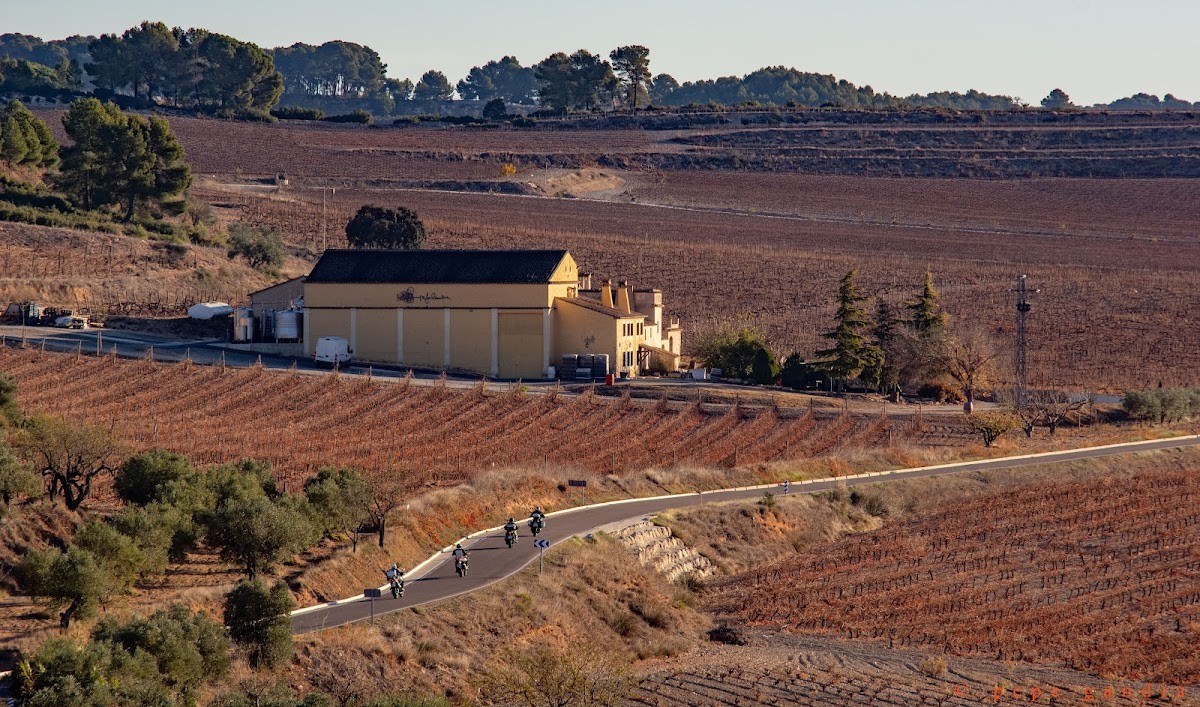 Bodega Rafael Cambra