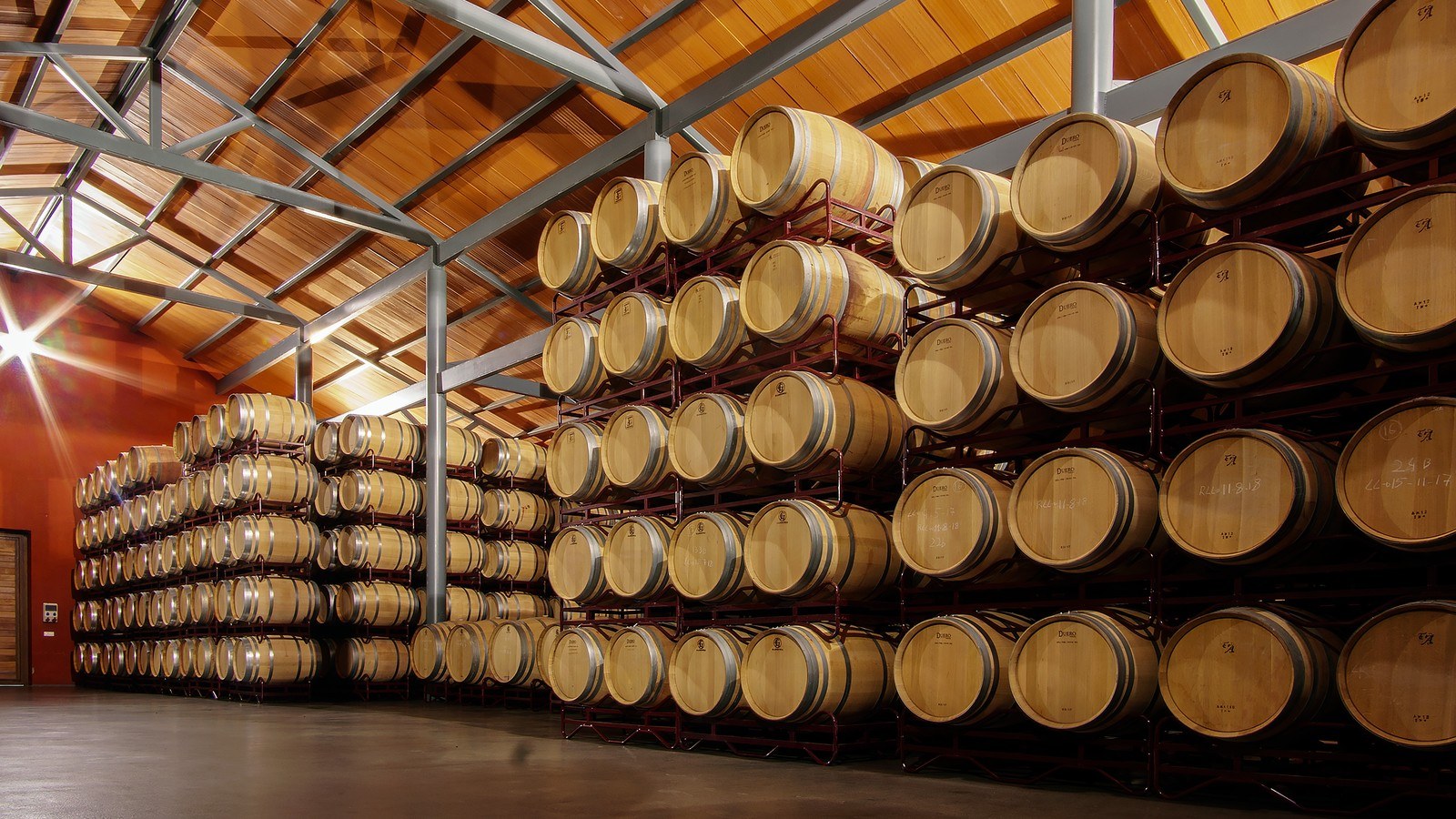 Bodega Solterra (Compañía Vinícola Solterra)