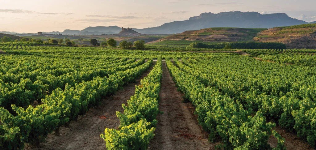 Bodegas Marqués de Carrión