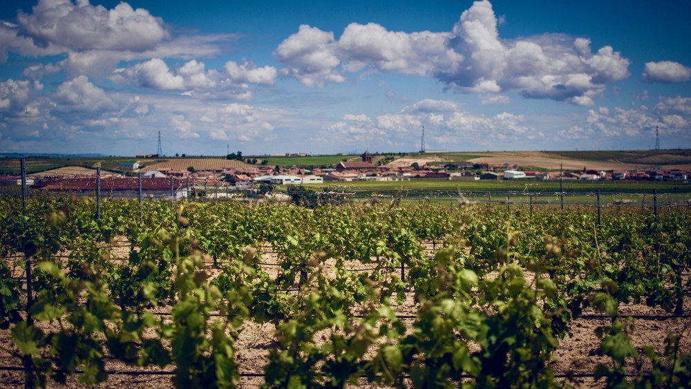Bodega Tres Pilares