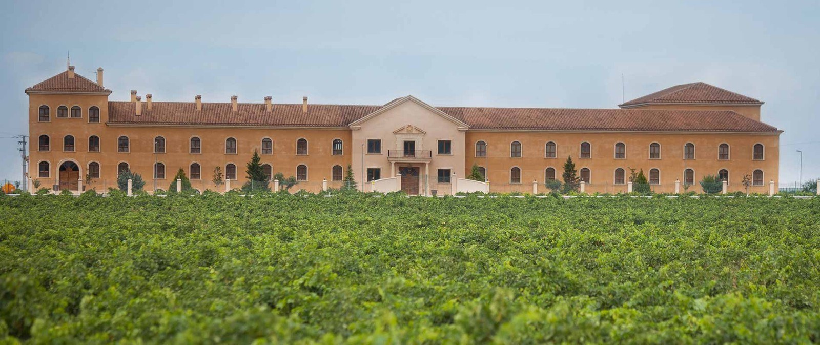 Altosa Wines