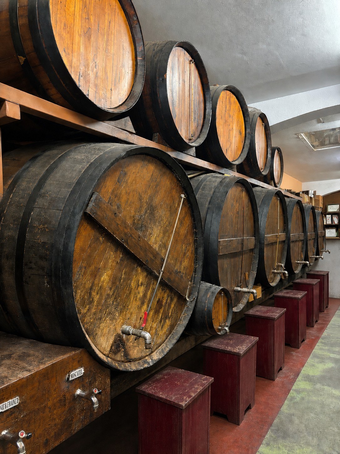 Bodega Solé