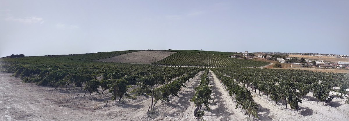 Bodega Callejuela
