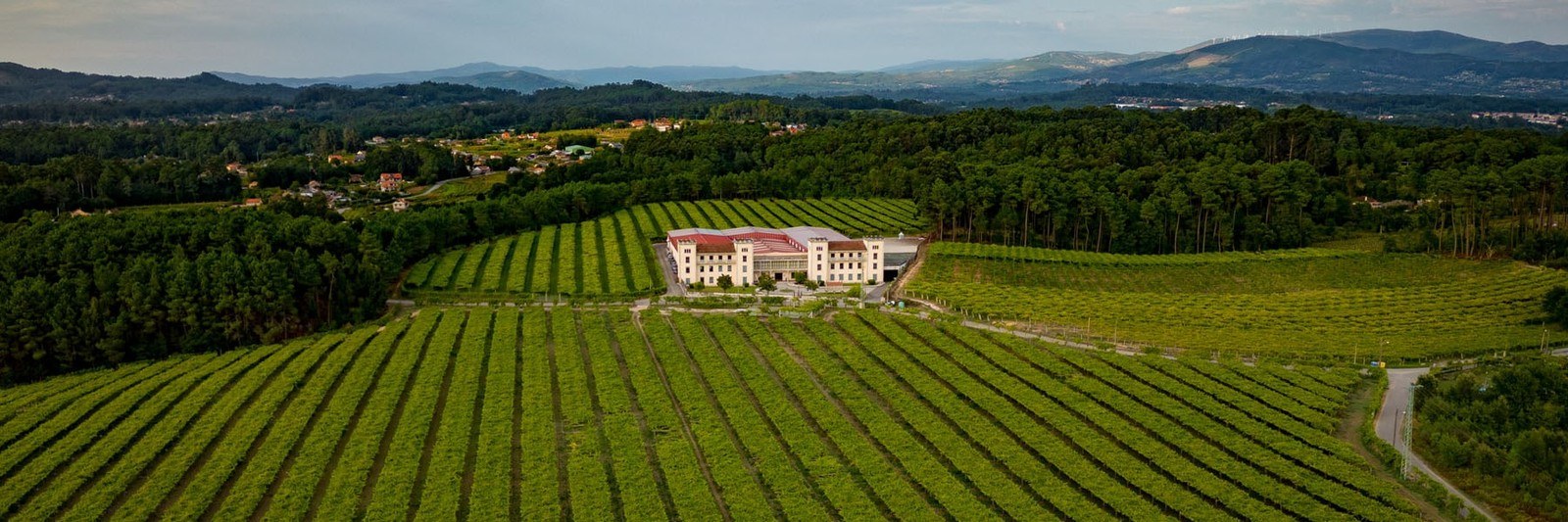 Adegas La Val, s.l