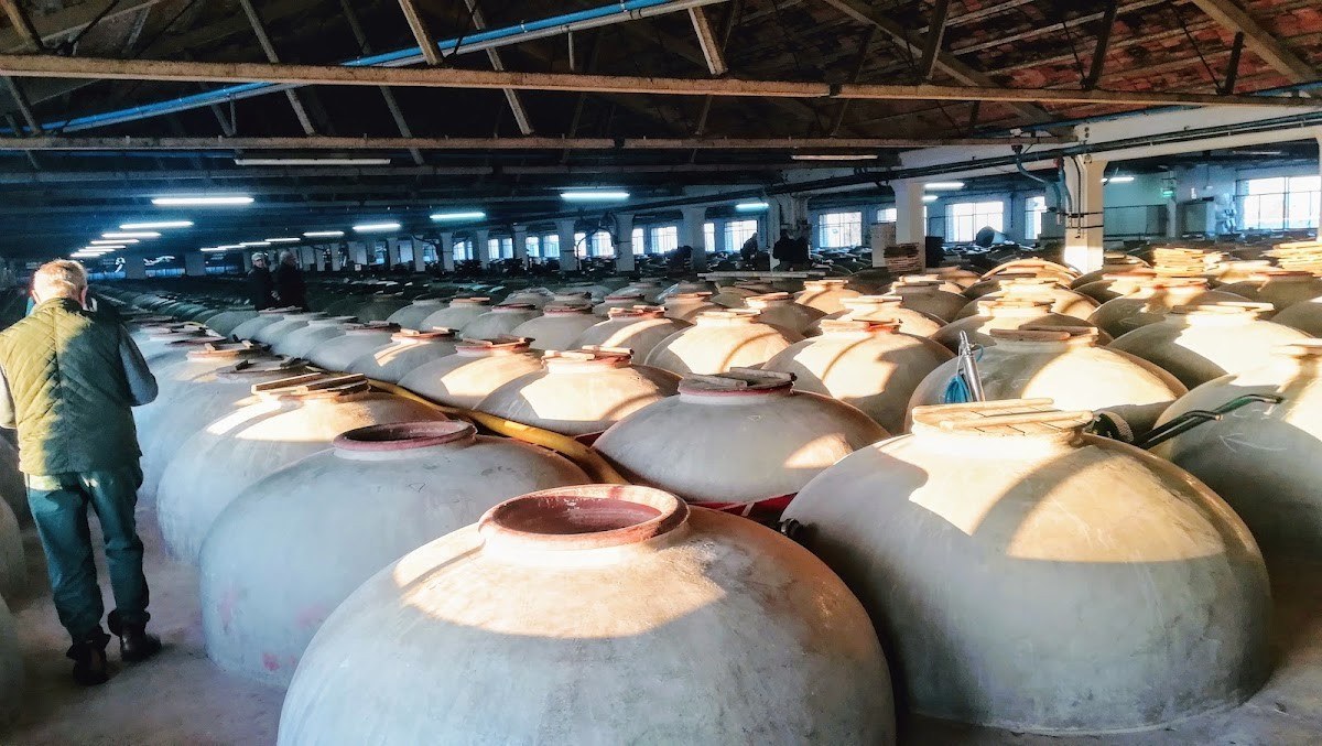 Vinos de Anora