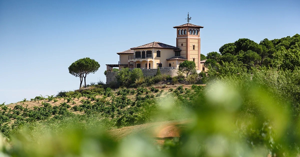 Bodegas Piedra