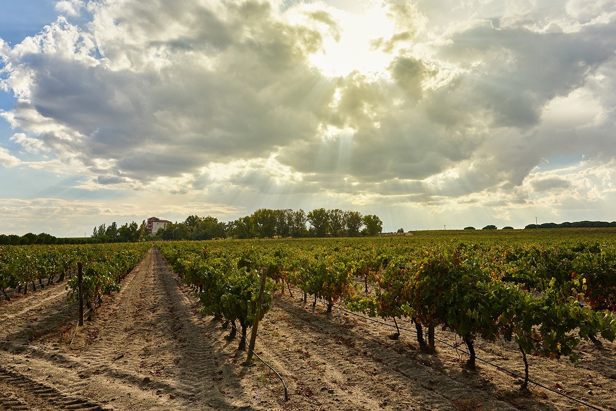 Bodegas La Mejorada