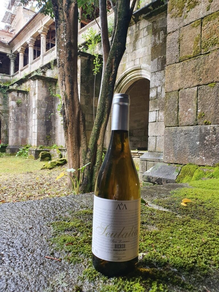 Bodega y Viñedos Anselmo Álvarez