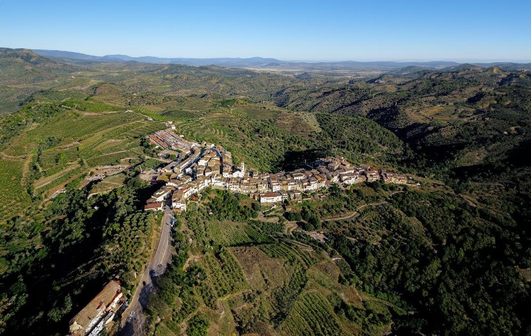 CELLER BARTOLOMÉ