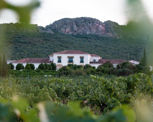 BODEGA VALDEALTO