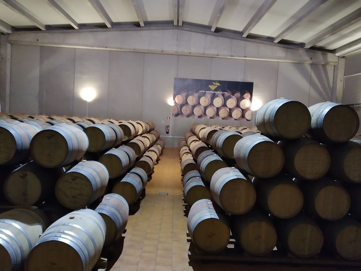Vinícola De Tomelloso