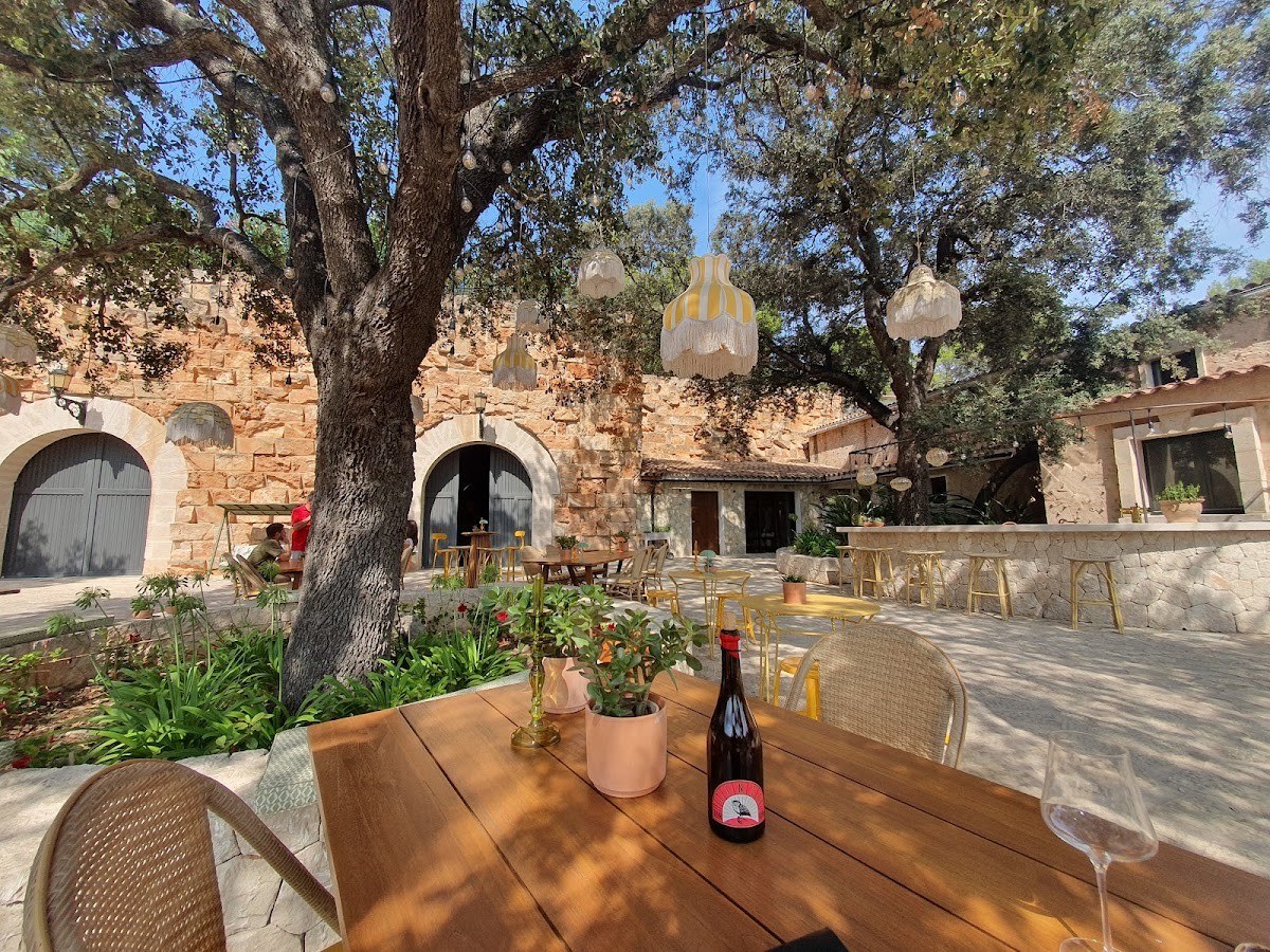 Bodega Terra IóN