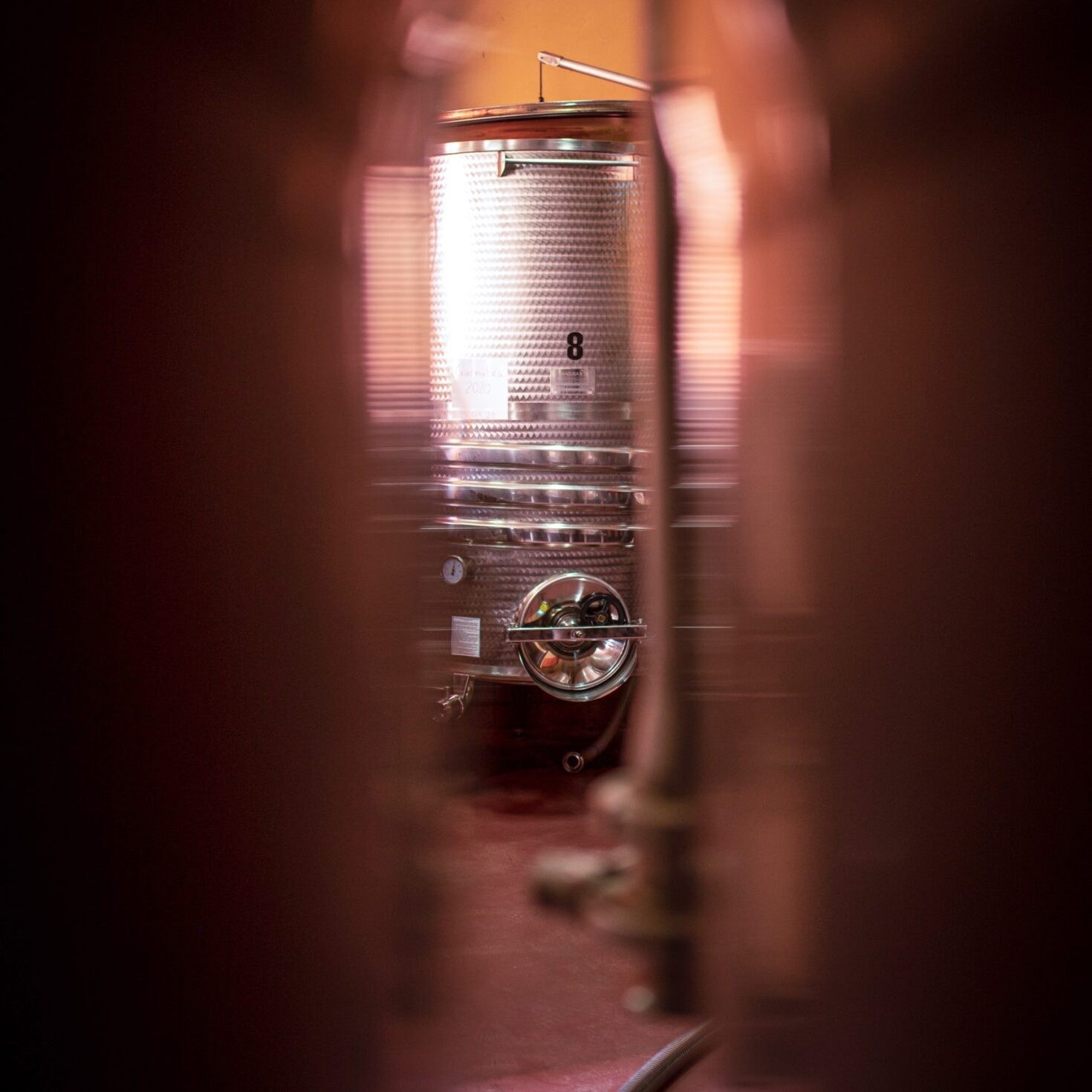 CELLER DE SANUI