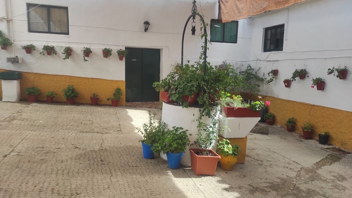 Bodegas Maillo