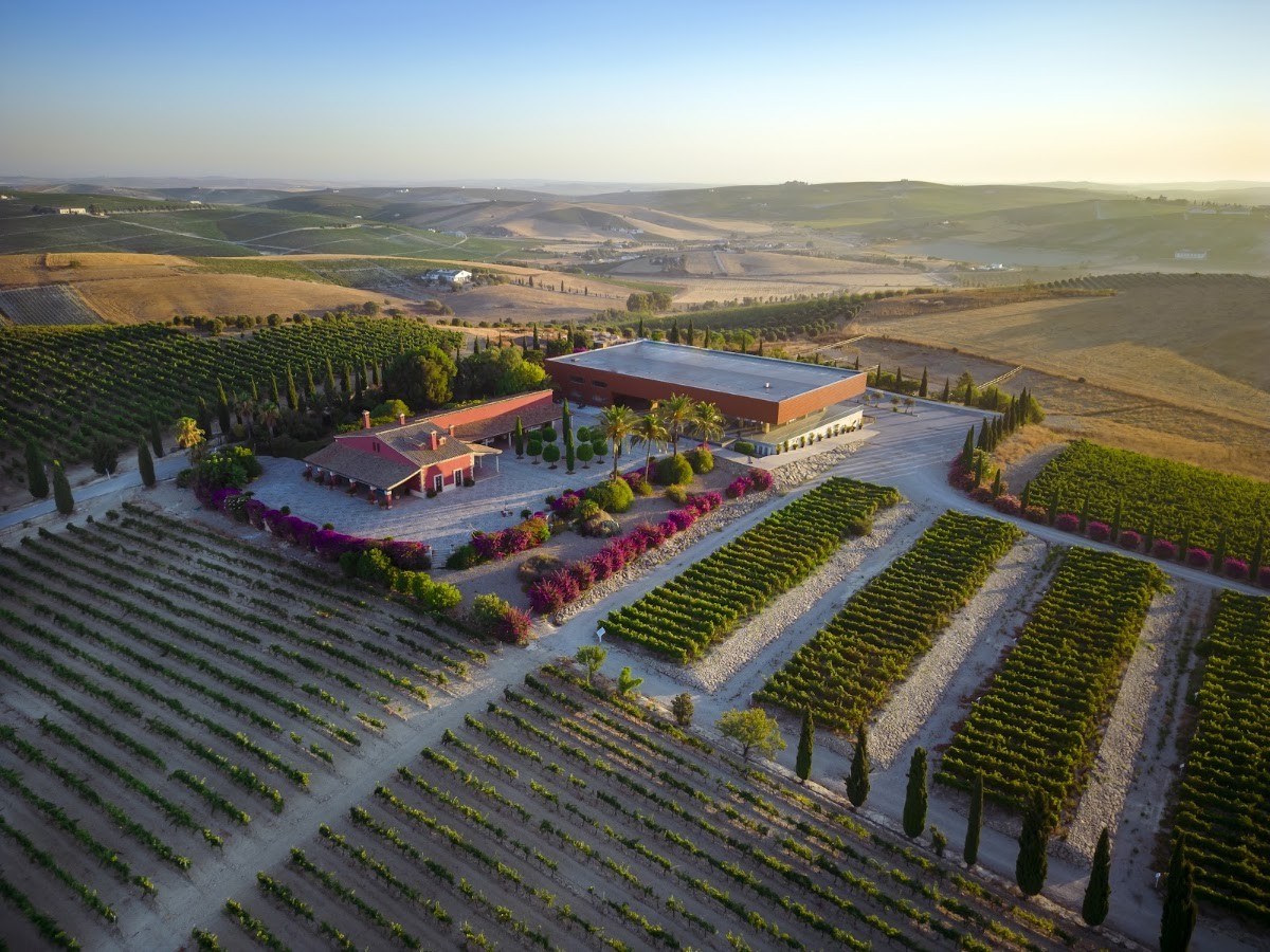 Bodegas Luis Pérez