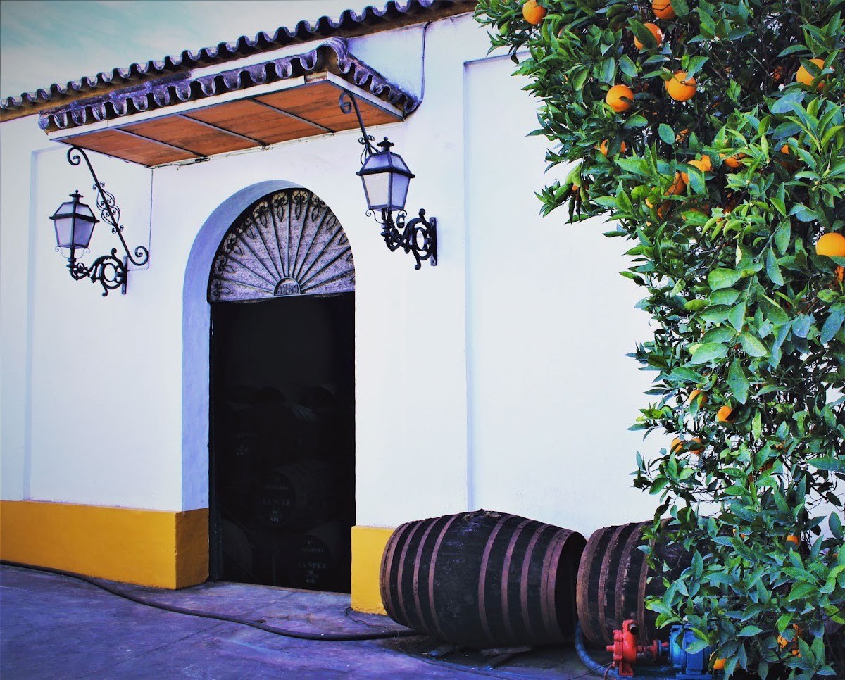 Bodegas Raposo José Antonio Raposo