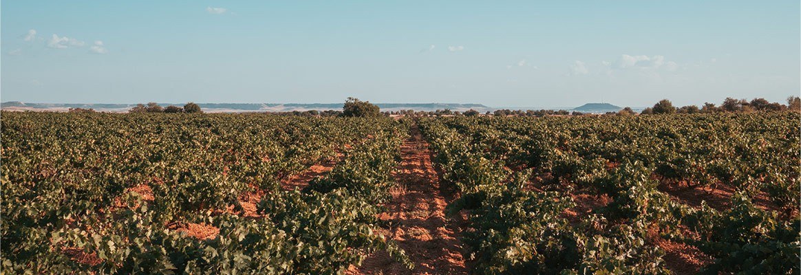 Bodegas Mucy
