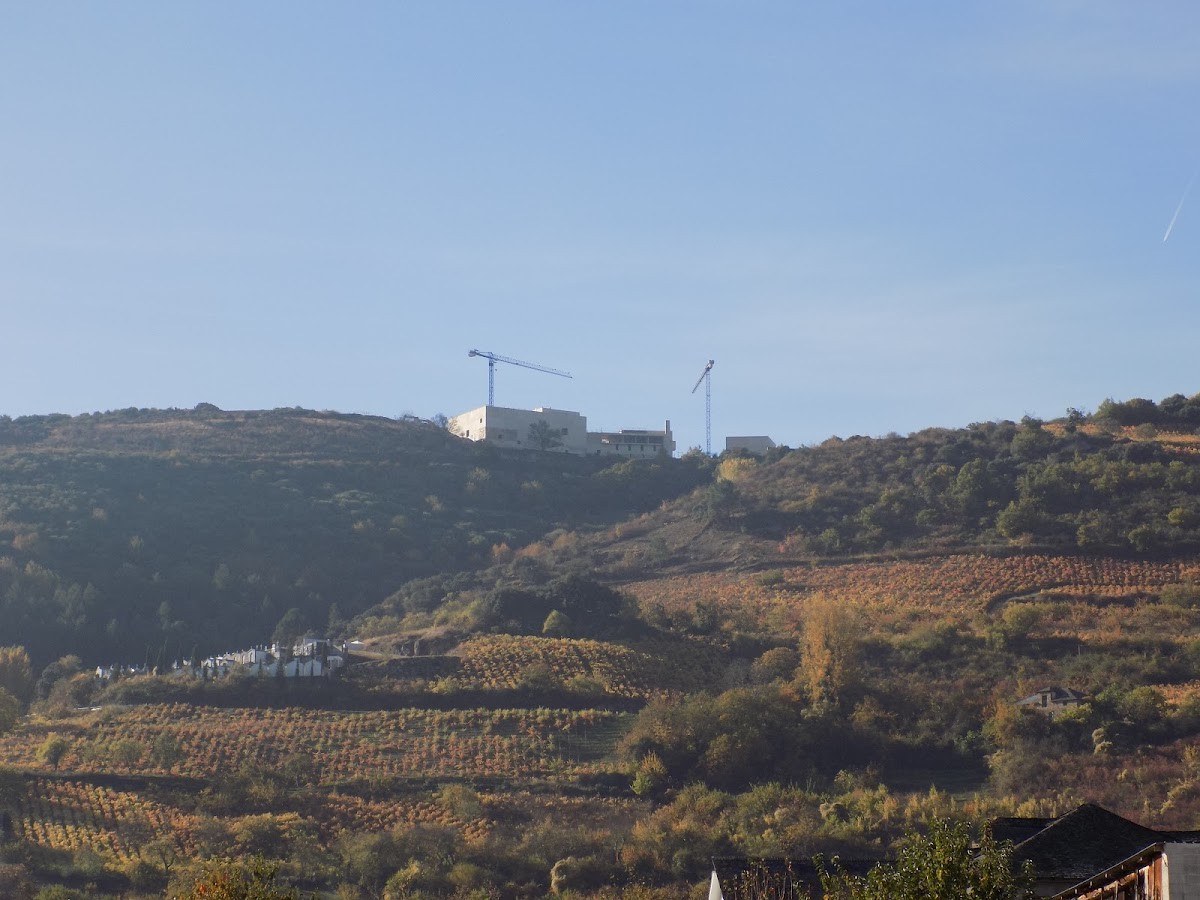 BODEGAS Descendientes de J.PALACIOS