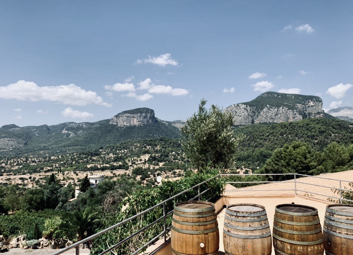 Bodegues Castell Miquel