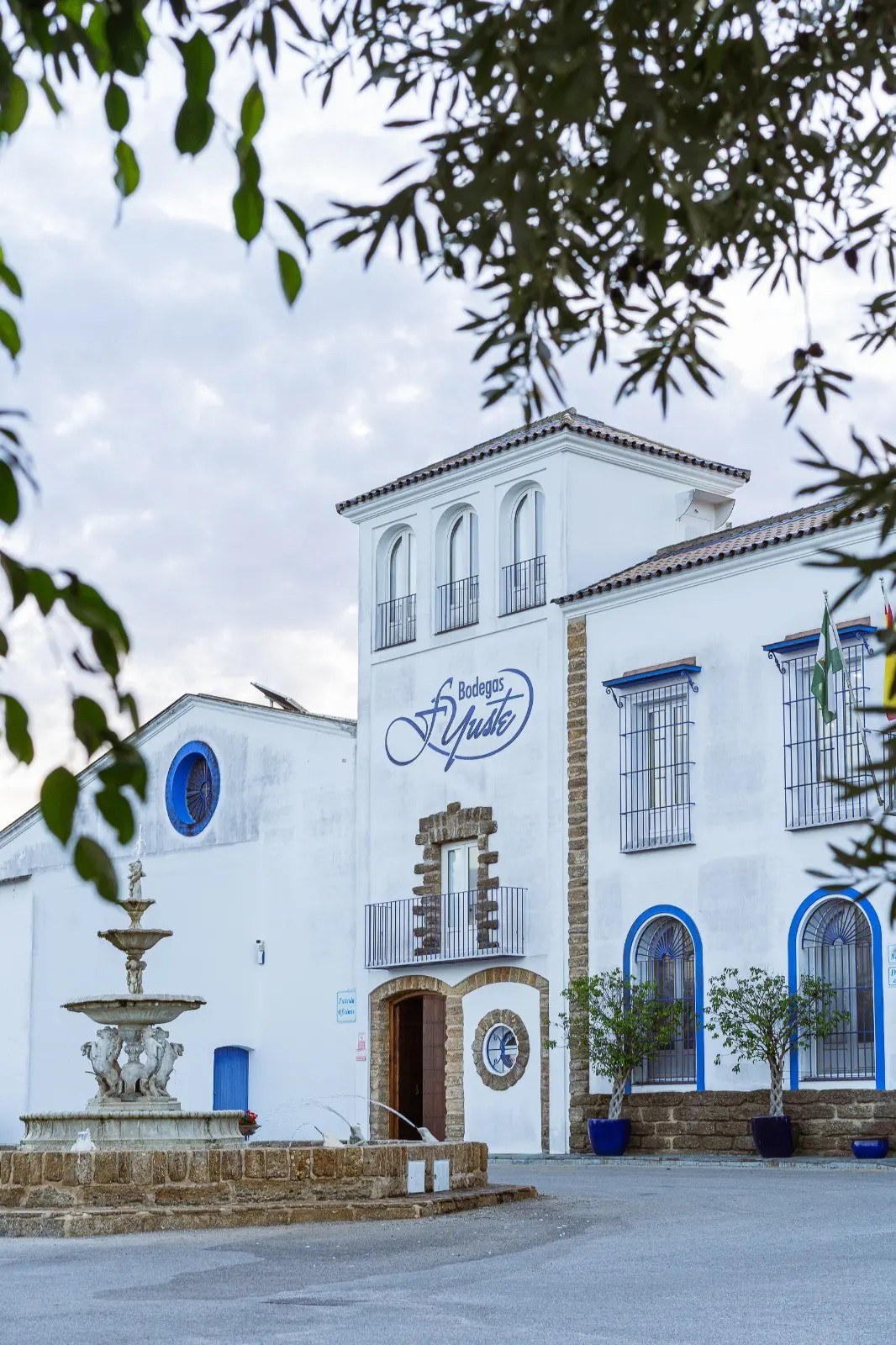 Bodegas Yuste Argüeso - Despacho de Vinos
