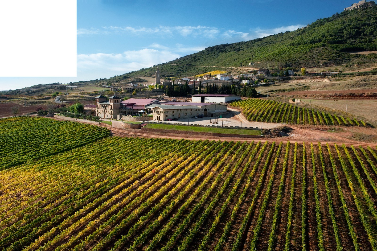 BODEGAS CASTILLO DE MONJARDIN SA