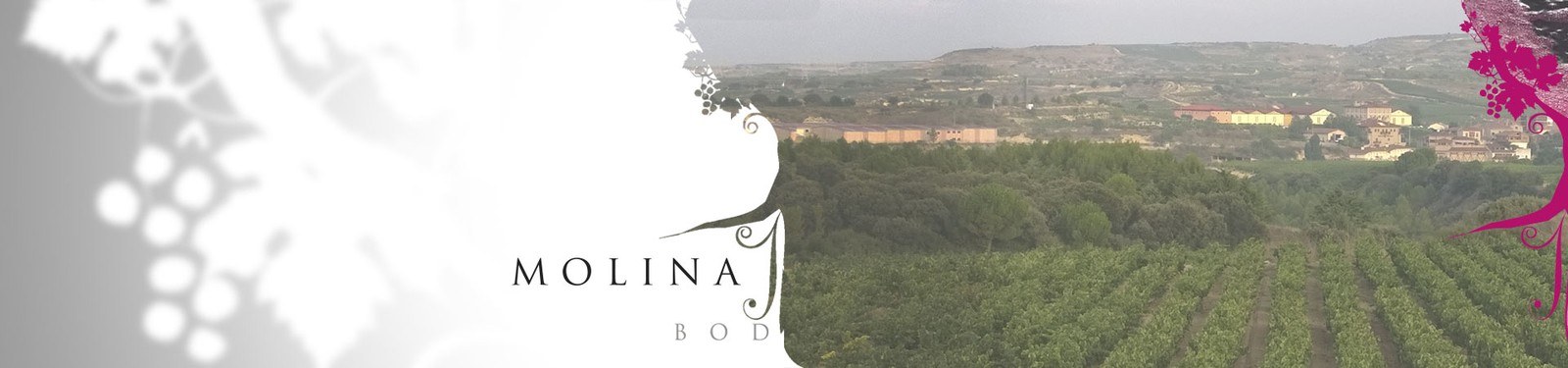 Bodegas Molina Pérez
