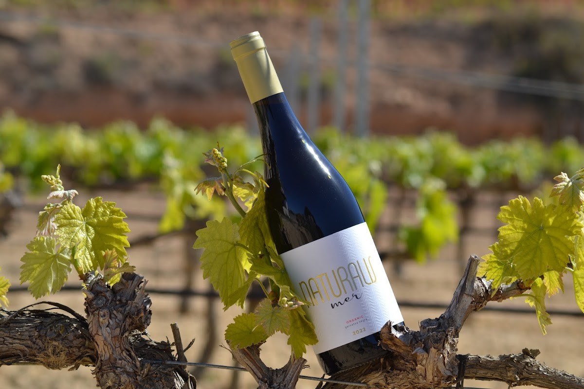 Celler Batea