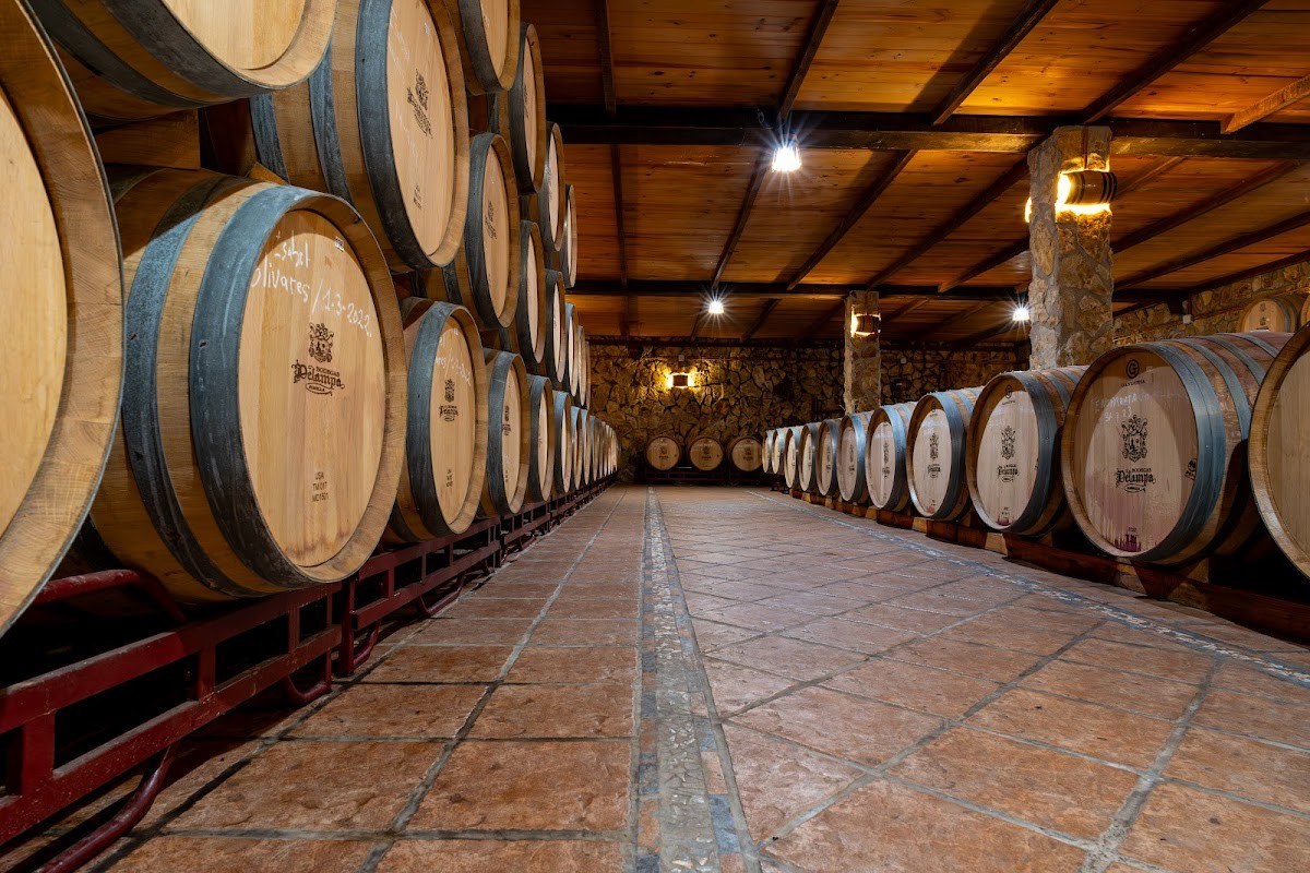 Delampa - Bodega Vino Jumilla