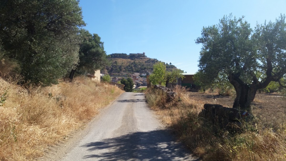 Bodega Casa Mateu
