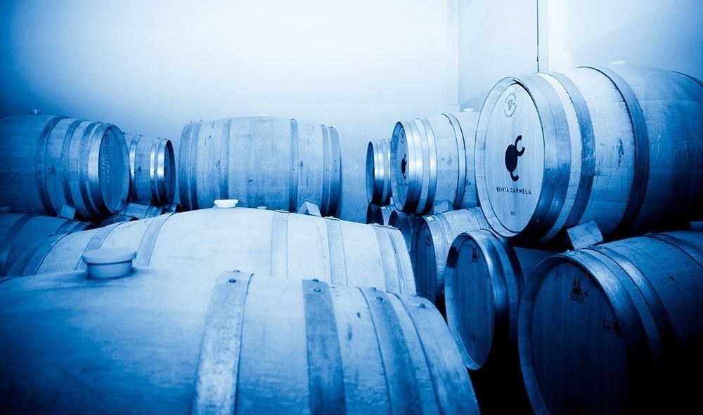 BODEGAS Y VIÑEDOS C. ACEBES S.L.